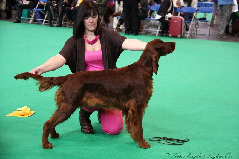 Crufts2011 157.jpg